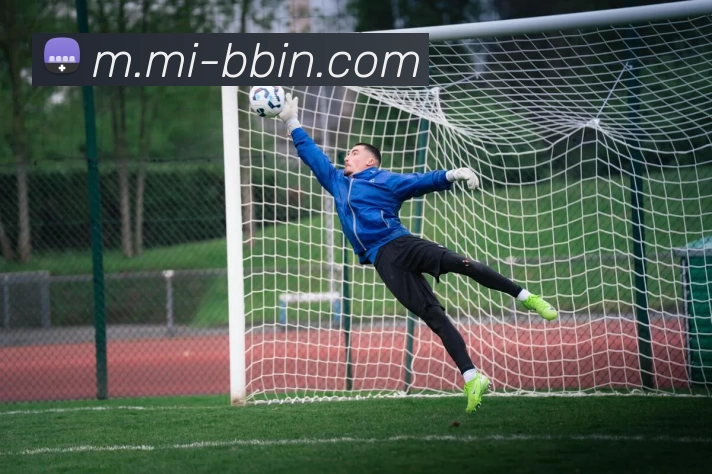 BBIN娱乐发展历程